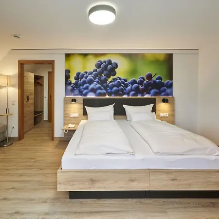Hotel Kreuz-post Hotel-restaurant-spa Vogtsburg