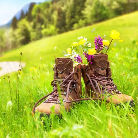 Отель Kreuz-post Hotel-restaurant-spa Фогтсбург