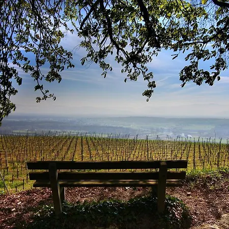 Hotel Kreuz-post Hotel-restaurant-spa 3*