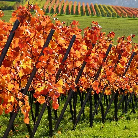 Kreuz-post Hotel-restaurant-spa 3*