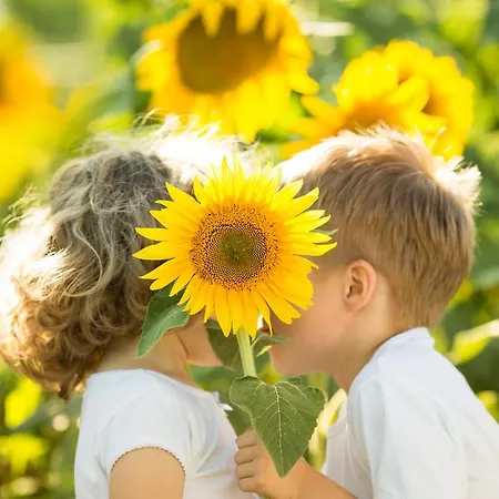 Kreuz-post Hotel-restaurant-spa 3*