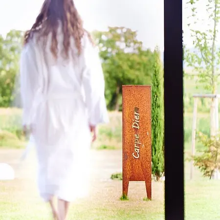 Отель Kreuz-post Hotel-restaurant-spa Фогтсбург