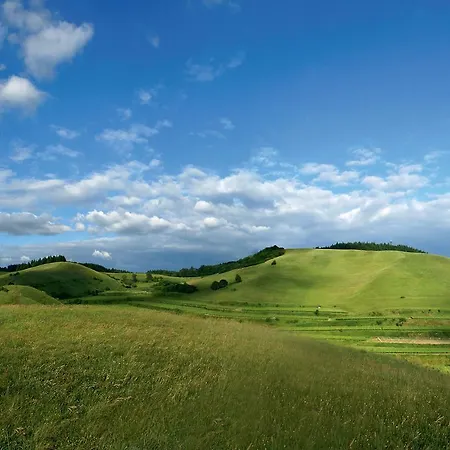 Kreuz-post Hotel-restaurant-spa Hotel Vogtsburg