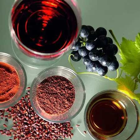 Kreuz-post Hotel-restaurant-spa Hotel Vogtsburg