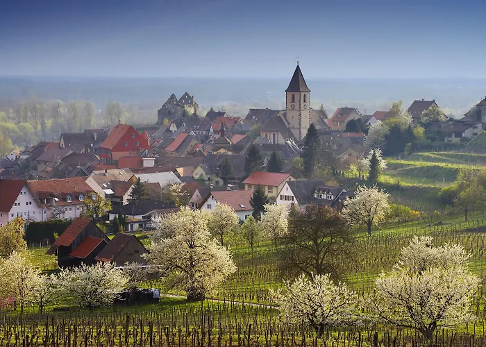 Kreuz-post Hotel-restaurant-spa 3* فوغتسبورغ