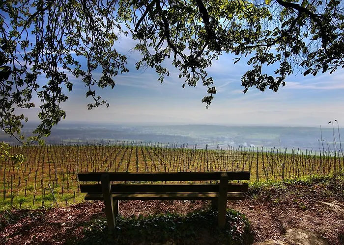 Hotel Kreuz-post Hotel-restaurant-spa 3*