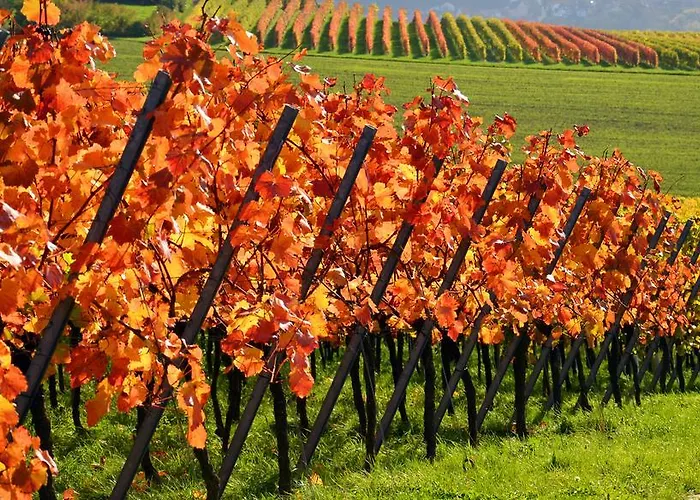 Kreuz-post Hotel-restaurant-spa 3*