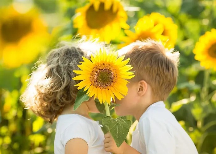 Kreuz-post Hotel-restaurant-spa 3*